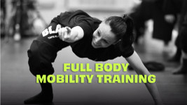 Mobility Program